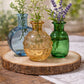 Aeliana Vases-Set of 3